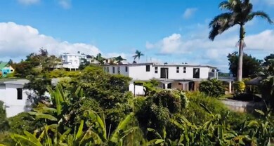 Barrio Guavate Pr 763 Km 7 0, Cayey, PR 00736 - photo 4