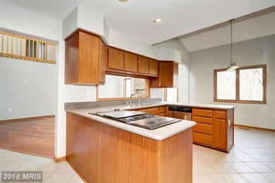 1924 Pine Knob Rd, Sykesville, MD 21784 - photo 4