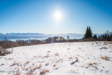 L1 Hutler Rd, Fritz Creek, AK 99603 - photo 5