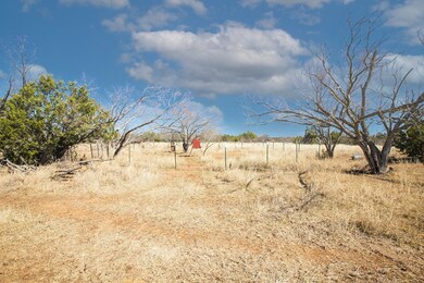3 E Lower Crabapple Rd unit 3, Fredericksburg, TX 78624 - photo 6