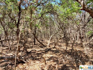 5267 Comanche Dr, Temple, TX 76502 - photo 6