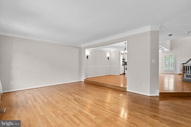 5902 Bloomingdale Terrace, Rockville, MD 20852 - photo 4
