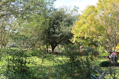 IMG_4841