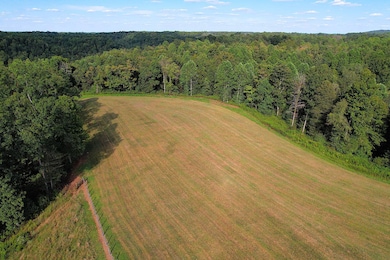 0 Gosser Ridge Rd unit 11565936, Liberty, KY 42539 - photo 5