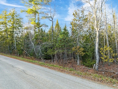 Lot 3-3 Bryant Rd, Unity, ME 04988 - photo 2