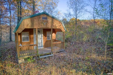 1924 Suchman Rd, Ava, IL 62907 - photo 4