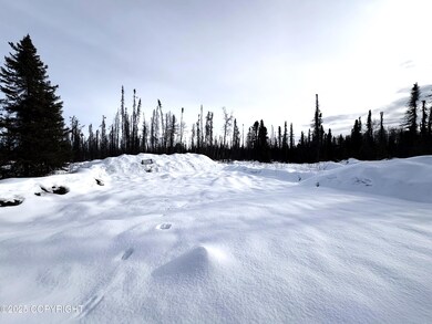 GOV S Leroy Davies Rd, Talkeetna, AK 99676 - photo 5