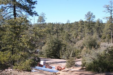 1902 E Phoenix St unit 5, Payson, AZ 85541 - photo 4