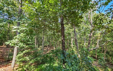 Additional View