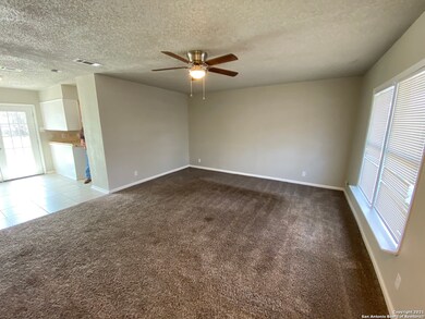 4602 Old Coach Ln, San Antonio, TX 78220 - photo 3