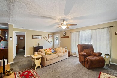 205 Sunrise Ridge Dr, Hendersonville, NC 28792 - photo 4