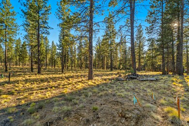 56508 Elk Run Dr unit 499, Sunriver, OR 97707 - photo 2