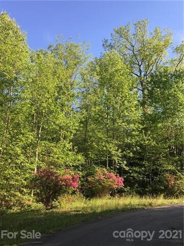 Azaleas at the base of the drive entry to the lot