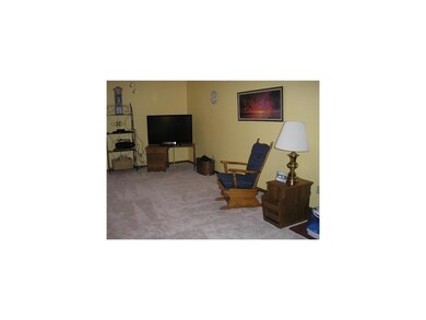 Living Room. Very large living room with new carpe
