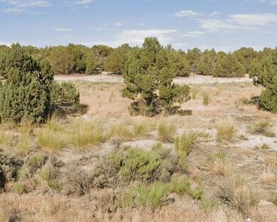 0 Turquoise Ave unit 23737763, Spring Creek, NV 89815 - photo 2