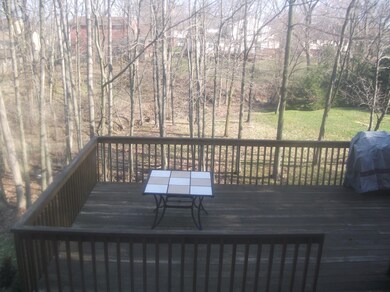 View out dining room window