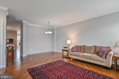 42817 Shaler St, Chantilly, VA 20152 - photo 6