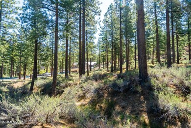 225 clear creek-4