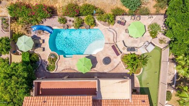 0008-Drones Saddleback 9