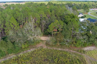 284 Barrett Rd, Sparks, GA 31647 - photo 6