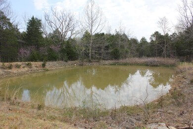 3067 Ownby Rd, Lewisburg, TN 37091 - photo 4