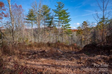 TBD S Fork Trail, Lake Toxaway, NC 28747 - photo 7