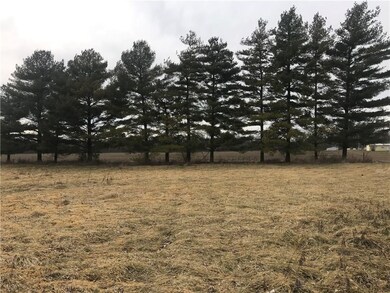 2524 S Hurst Cemetery Rd, Homer, IN 46146 - photo 3
