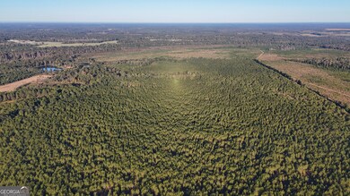 0 Buckeye Rd unit 10650376, East Dublin, GA 31027 - photo 2