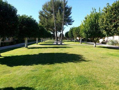 14004 N Newcastle Dr, Sun City, AZ 85351 - photo 3