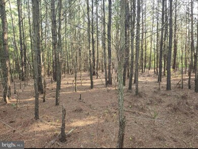 0 Wesley Rd unit MDDO2006240, Wingate, MD 21675 - photo 7