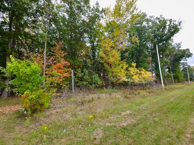 V/L N, Roscommon, MI 48653 - photo 4