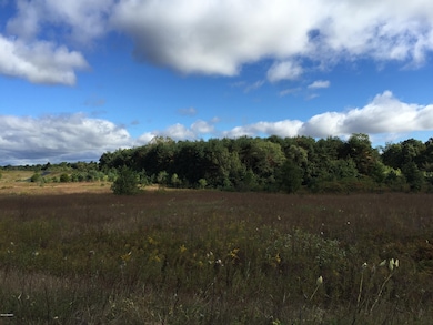 0 Anthony Way Tract 13, Niles, MI 49120 - photo 6