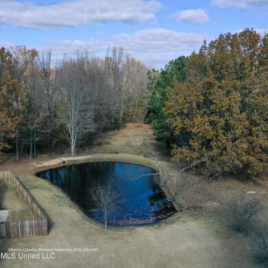 1282 Ivy Dr, Hernando, MS 38632 - photo 6