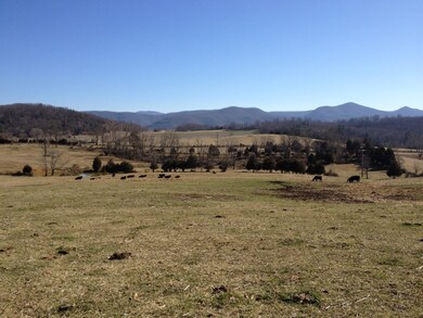 0 Timber Ridge Rd unit 716 126277, Fairfield, VA 24435 - photo 2