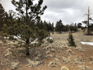 133 Joyce Ln, Hartsel, CO 80449 - photo 5