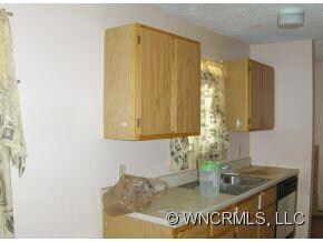 171 Wyatt St, Asheville, NC 28803 - photo 4