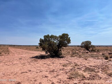 8191 E Concho Highway, Snowflake
