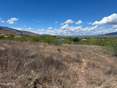 IMG_9944