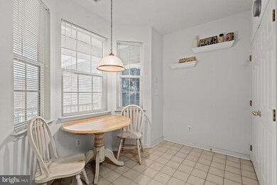 5001 Willow Branch Way unit 302, Owings Mills, MD 21117 - photo 5