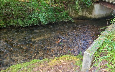 Additional View