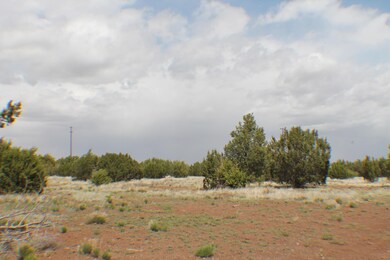 Parcel D Bourdon Ranch Rd, Show Low, AZ 85901 - photo 6