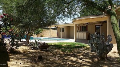 back yard