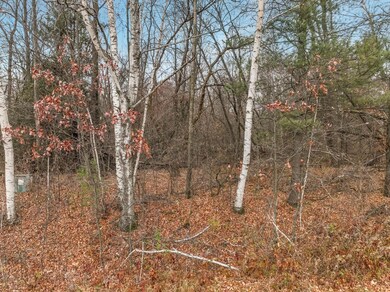 xxx 29 1 2 St, Chetek, WI 54728 - photo 3