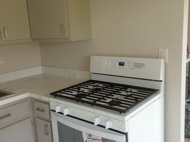 9935 El Cameno Real Dr unit 1A, Orland Park, IL 60462 - photo 7