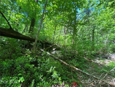 731 Quail Ridge Road Lake Lure. This property adjo