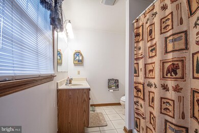 1202 Lakeview Dr, Cross Junction, VA 22625 - photo 5