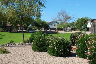View near pool grounds