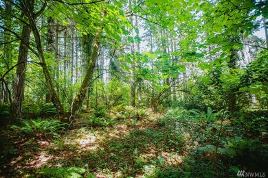 0 SW 192nd St, Vashon, WA 98070 - photo 6