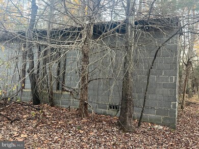 0 Mitchell Ford Rd, Lignum, VA 22726 - photo 6