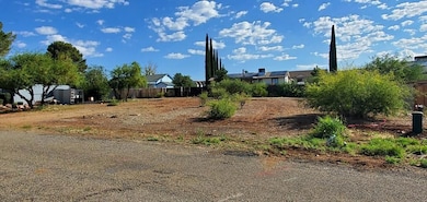 17052 Gambol Cir, Mayer, AZ 86333 - photo 4